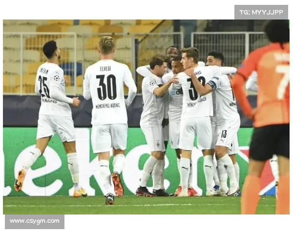 奥林匹亚科斯传奇之路：探索希腊足球联赛的巅峰荣耀与辉煌历程